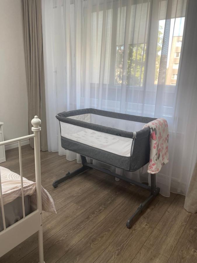 Apartments In The City Center Birzai Vytauto G22 Luaran gambar
